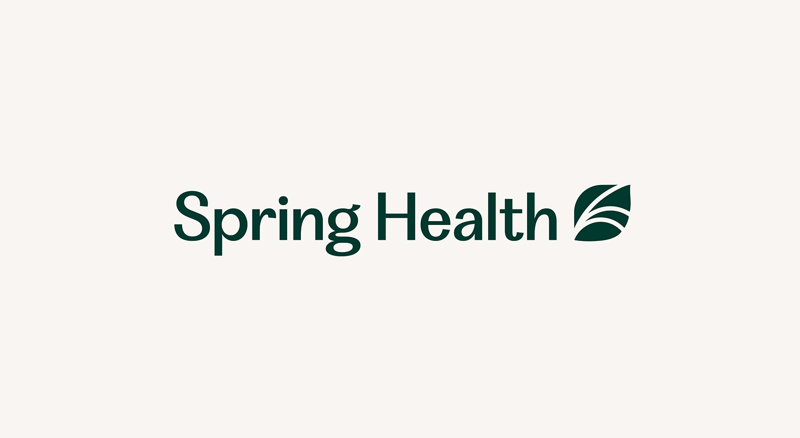 Spring Health Logo Winter Green On Gray 1 Wordmark Large